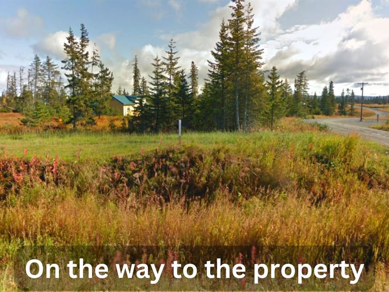 Alaskan Treasure in Anchor Point : Anchor Point : Kenai Peninsula Borough : Alaska