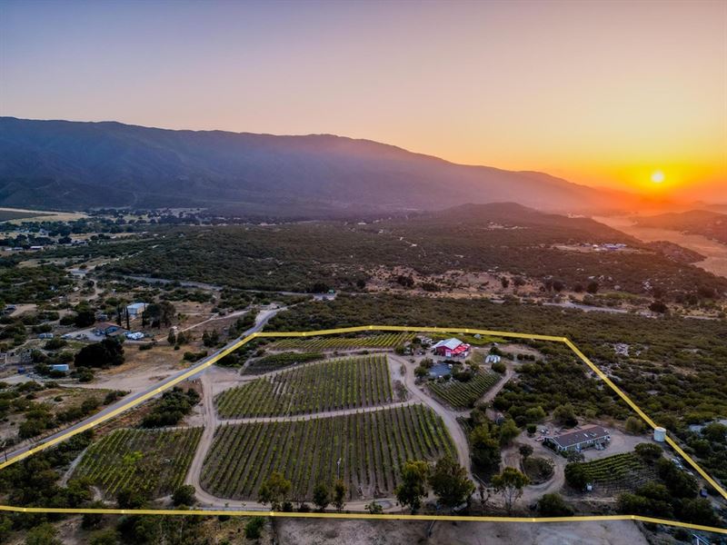 Hawk Watch Winery : Warner Springs : San Diego County : California