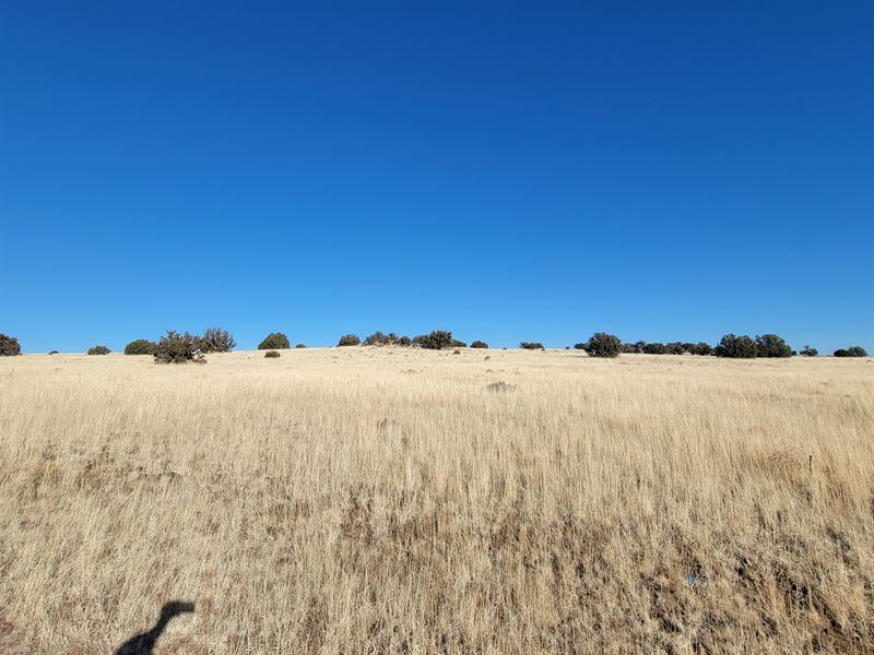 Get This 1.04 Acre Vacant Land : Concho : Apache County : Arizona