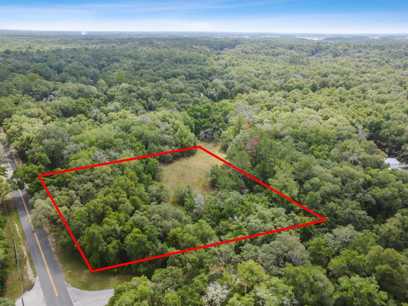 2148 Dearborn Drive, Hernando : Hernando : Citrus County : Florida