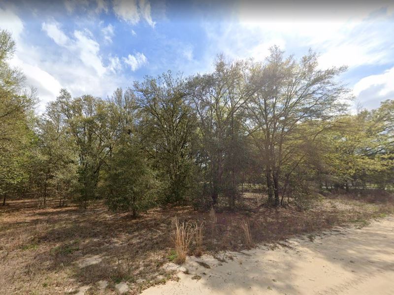 Make This 0.22 Acre Lot in FL Yours : Florida : Putnam County : Florida