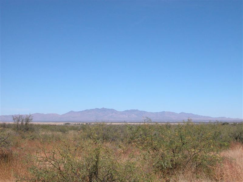 Affordable AZ Land, Cochise County : Douglas : Cochise County : Arizona