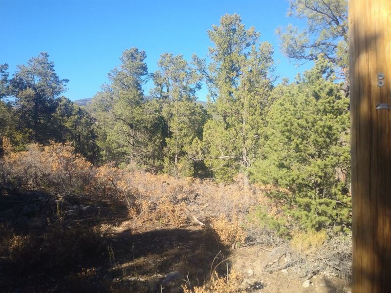 .553 Acre in Timberon, NM : Timberon : Otero County : New Mexico