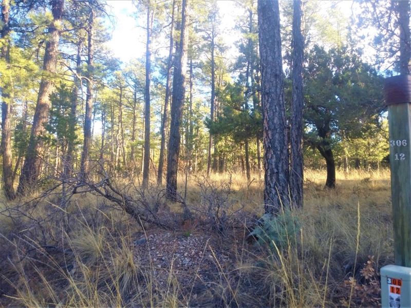 .67 Acre in Otero County, NM : Cloudcroft : Otero County : New Mexico