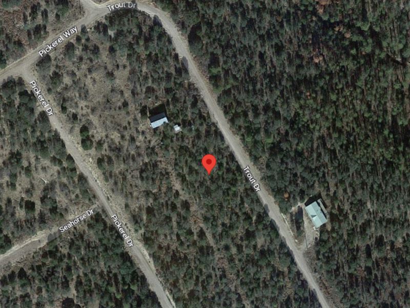 .41 Acre in Otero County, NM : Timberon : Otero County : New Mexico