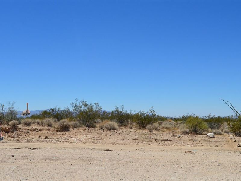 Over 1/2 Acre Mohave County, AZ : Yucca : Mohave County : Arizona