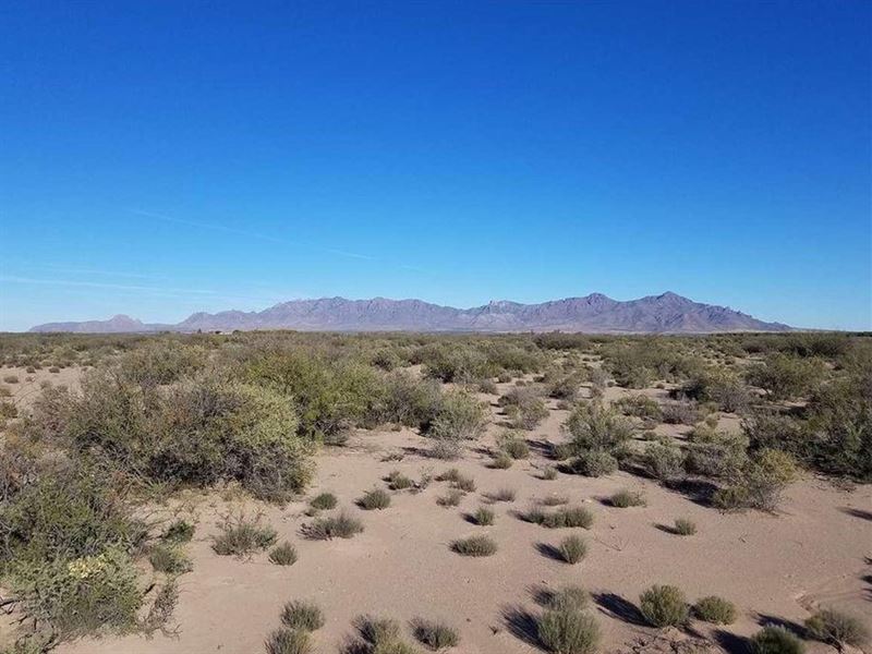 1 Acre in Luna County, NM : Deming : Luna County : New Mexico