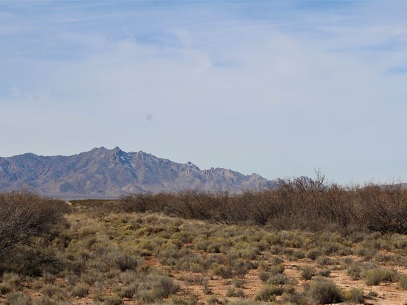 Quietest 1/2 Acre in Luna County : Deming : Luna County : New Mexico