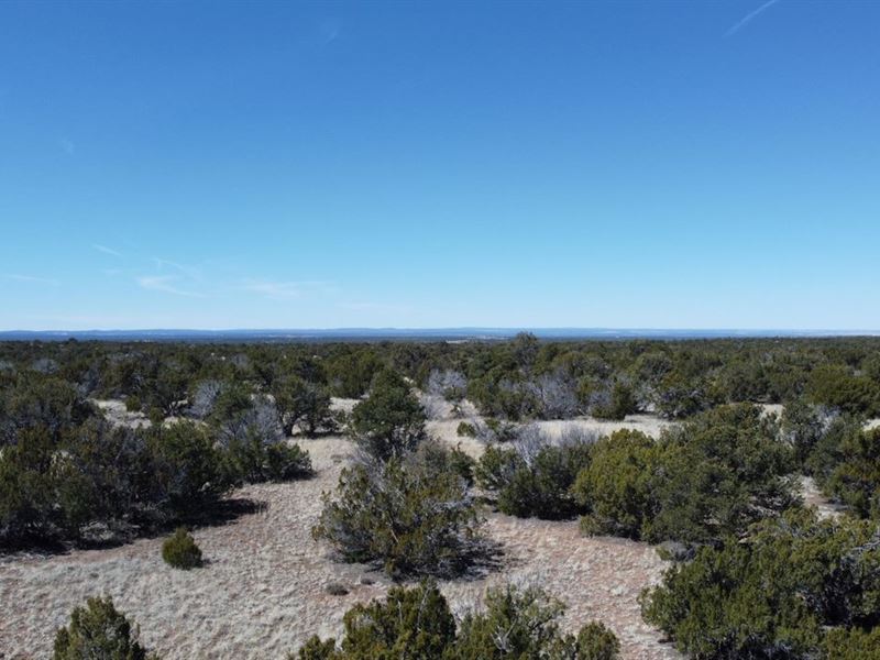 Captivating Lot in Arizona : Concho : Apache County : Arizona