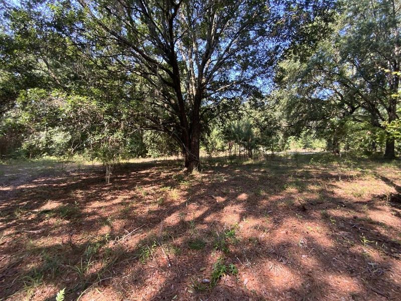 2060 Jim Clark Rd : Madison : Madison County : Florida