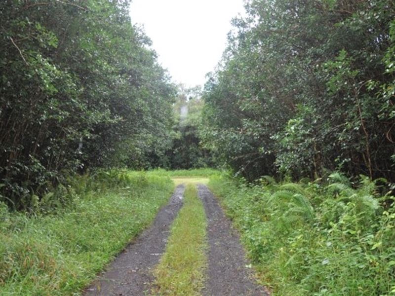 .17 Acre in Pahoa, HI : Pahoa : Hawaii County : Hawaii