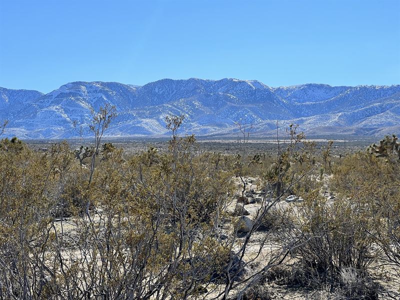 1 Acre in San Bernardino County : Lucerne Valley : San Bernardino County : California