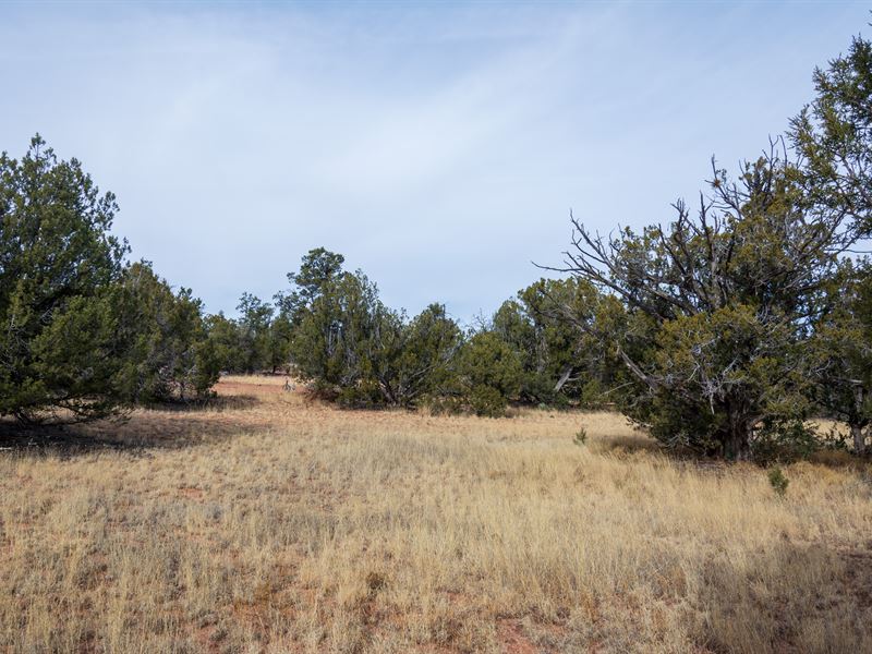 2.02 Off Grid Acres in Seligman, AZ : Seligman : Yavapai County : Arizona