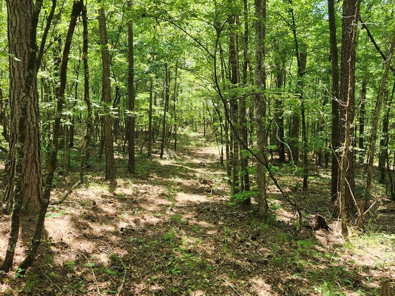 Liberty Hill Road Tract : Lagrange : Troup County : Georgia