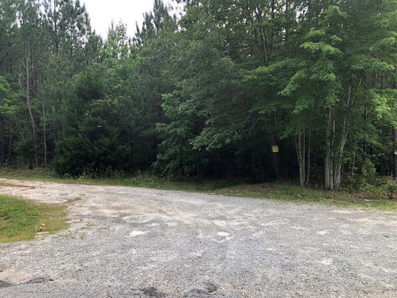 Wildlife Watch in Southern VA : Boydton : Mecklenburg County : Virginia