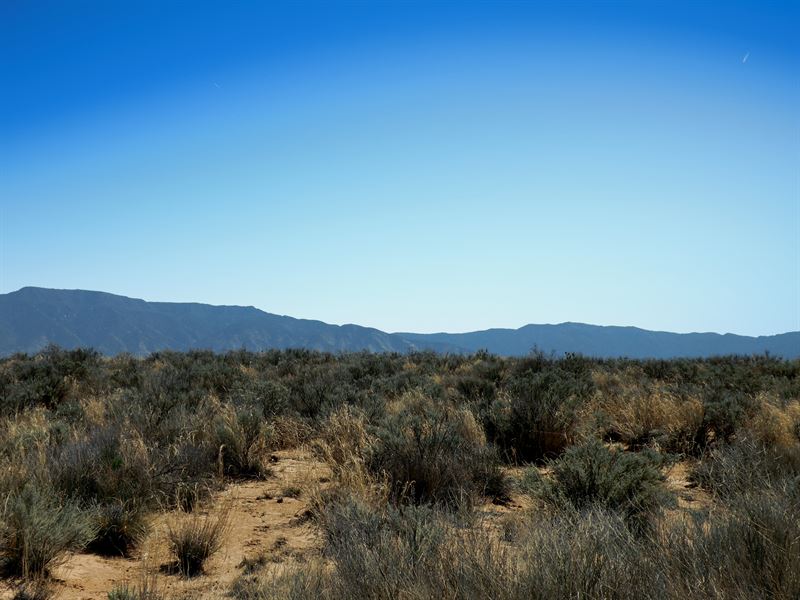 Manzano Mountain Views : Los Lunas : Valencia County : New Mexico