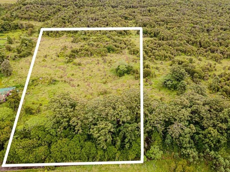 8.33 Ac of Land in Hawaii : Mountain View : Hawaii County : Hawaii