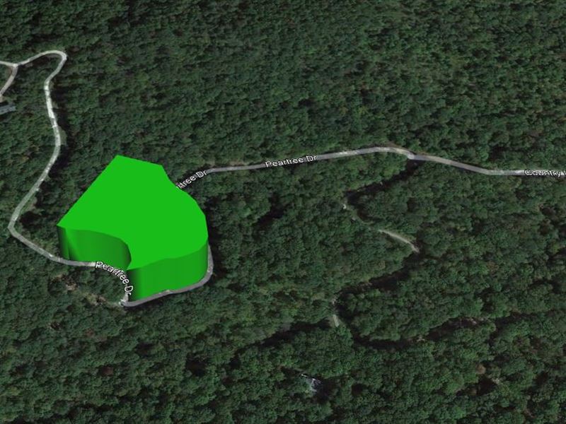 3.16 Acre Homesite in Lake Lure, NC : Lake Lure : Rutherford County : North Carolina