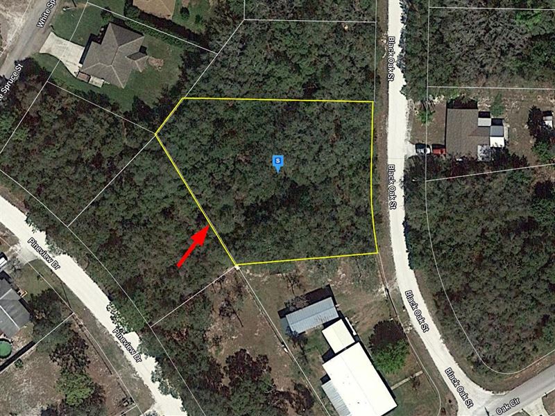$387/Mo Near Lake Jackson : Sebring : Highlands County : Florida