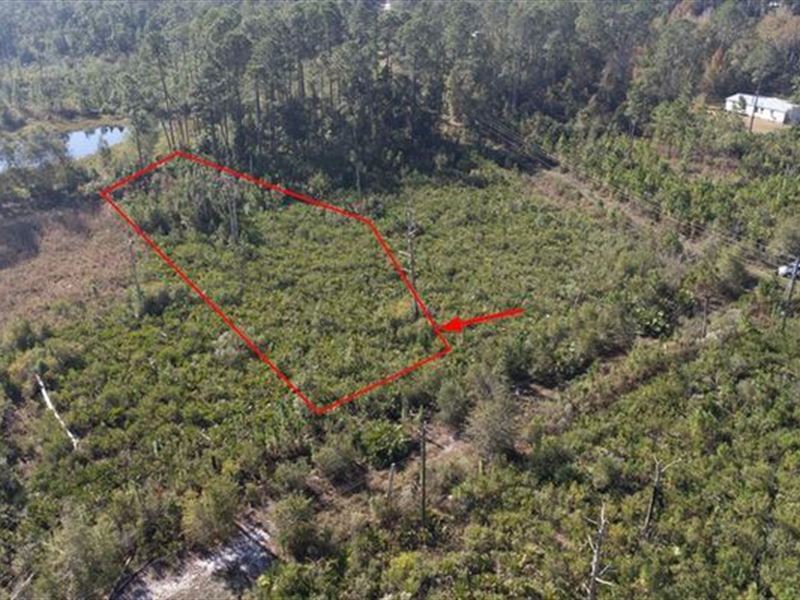 $279/Mo, Mobile Home, Crescent Lake : Crescent City : Putnam County : Florida