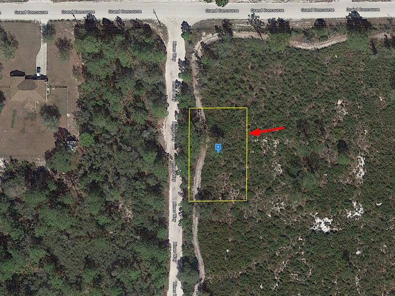 $208/Mo, Near Lake Josephine : Sebring : Highlands County : Florida