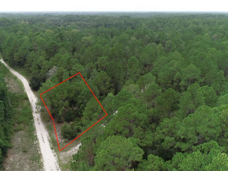Escape to Your Own Private Haven : Georgetown : Putnam County : Florida