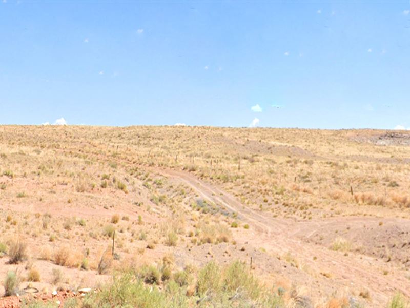 Save $1800, 1.26 Ac Navajo County : Holbrook : Navajo County : Arizona