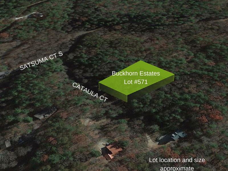 .92 Acre Lot in Buckhorn Estates : Ellijay : Gilmer County : Georgia