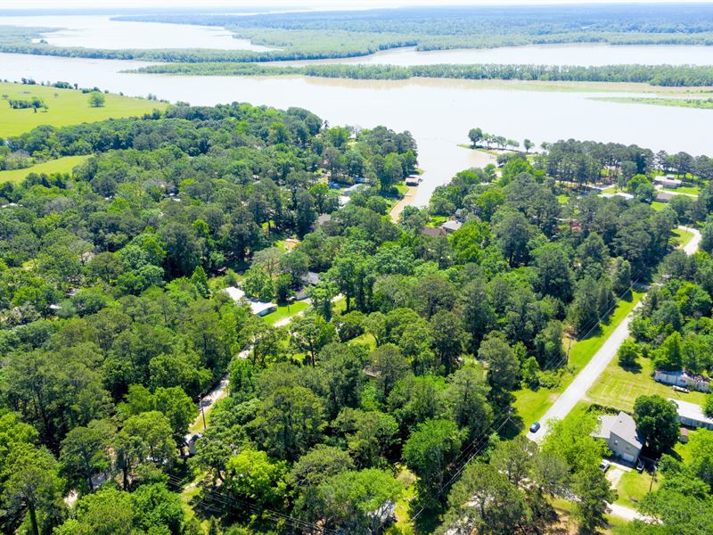 .37 Acre Double Lot with Utilities : Trinity : Trinity County : Texas