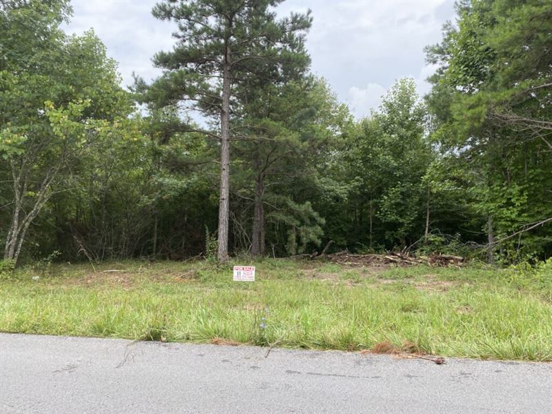 Land Near Cumberland Falls : Whitley City : McCreary County : Kentucky