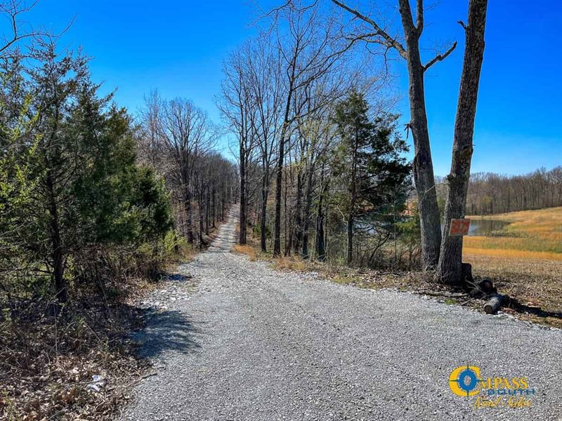 McEwen East Tract Lot 1 : McEwen : Humphreys County : Tennessee