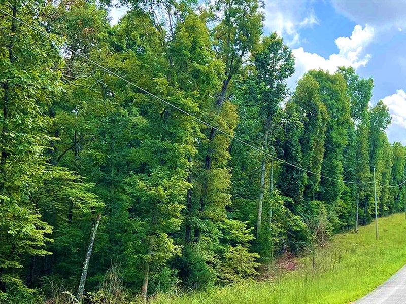 Make Your Money Work for You in AR : Horseshoe Bend : Izard County : Arkansas