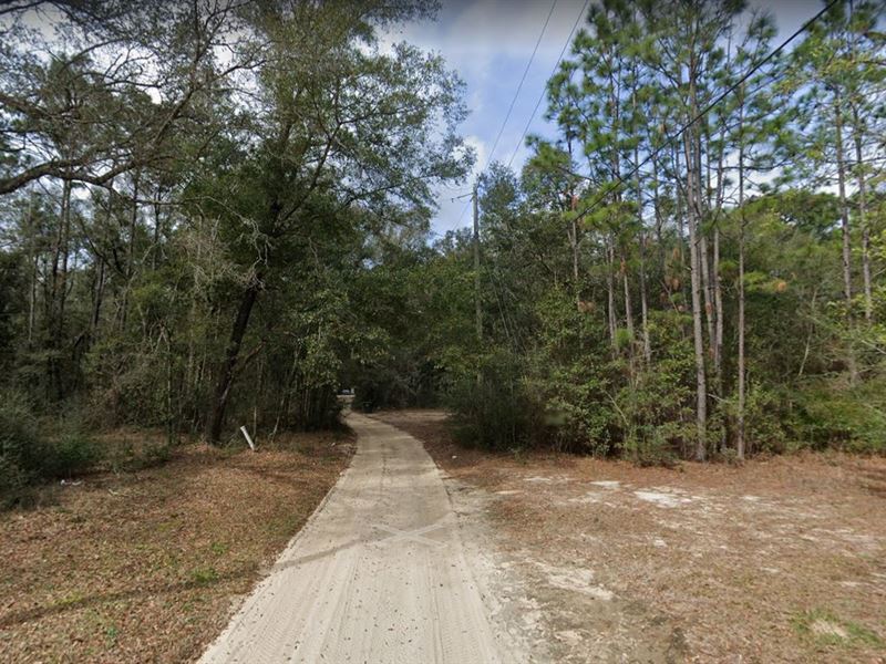 Grab This 1.65 Acre Lot : Pensacola : Escambia County : Florida