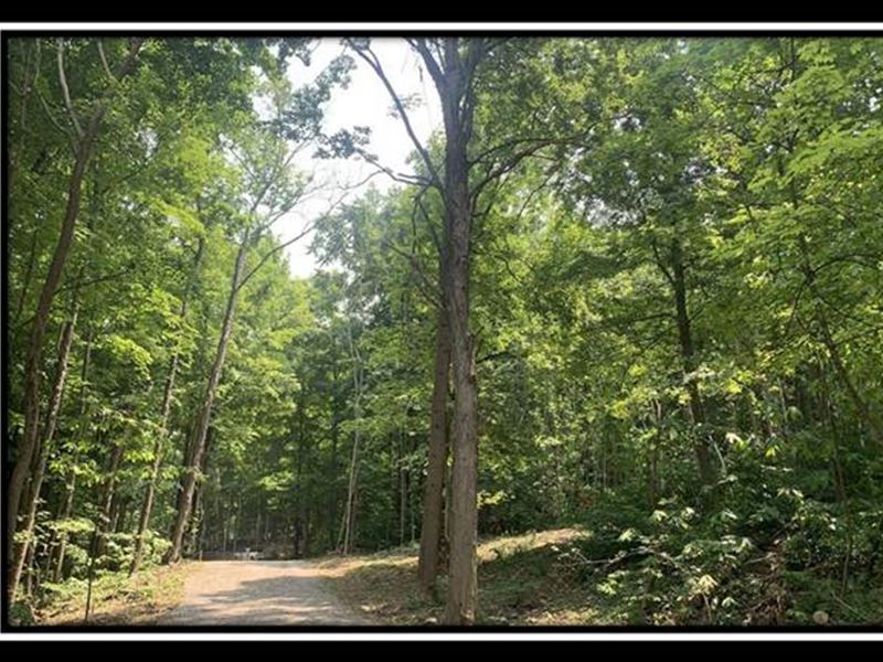 Tract 2, The Woods at Potts Hill : Bainbridge : Ross County : Ohio