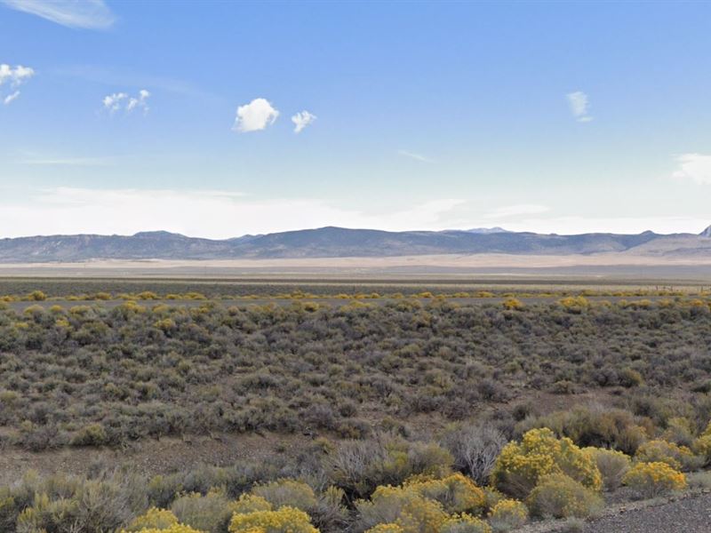 Heed The Call of The Wild in NV : Montello : Elko County : Nevada