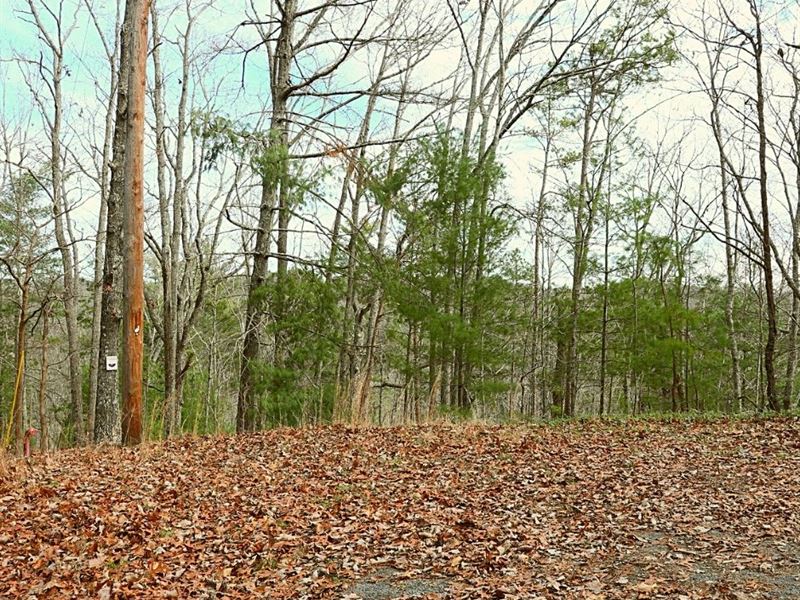 1.04 Acres Only 40 Min to Calhoun : Ranger : Gordon County : Georgia