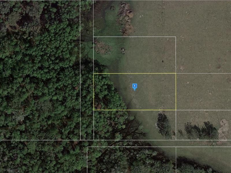 Polk City, Florida 1.4 Ac Property : Polk City : Polk County : Florida