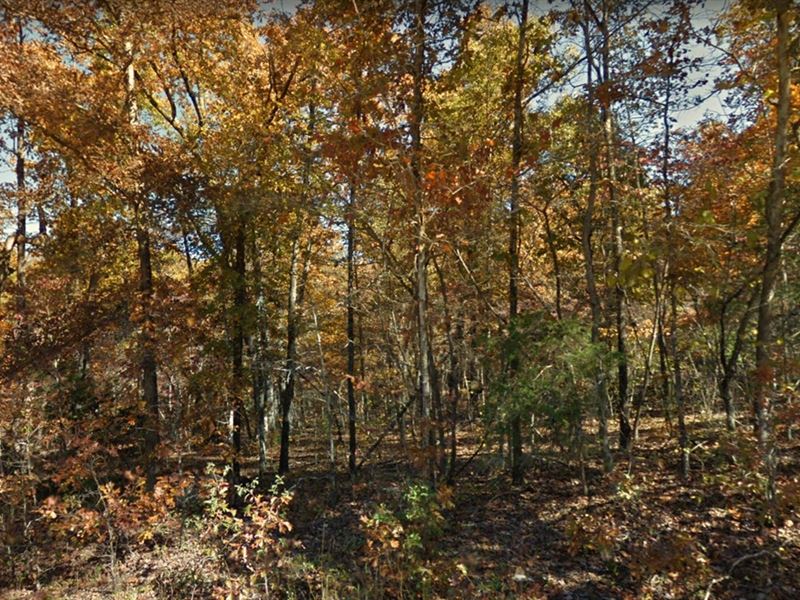 Dream Bigger with Double Lot Gem : Horseshoe Bend : Izard County : Arkansas