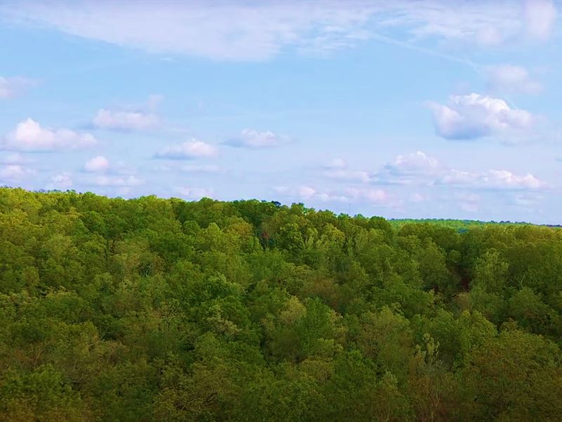 Bigger & Better, Adjacent Lots : Horseshoe Bend : Izard County : Arkansas
