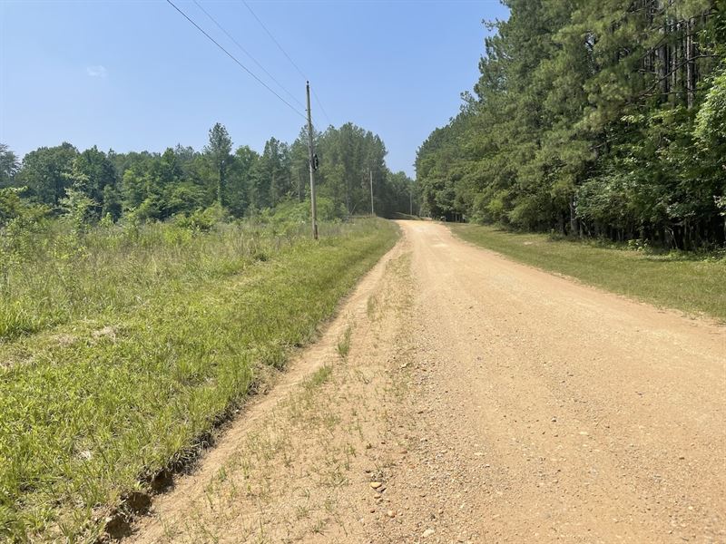 16 Ac on CR 173 : Clanton : Chilton County : Alabama