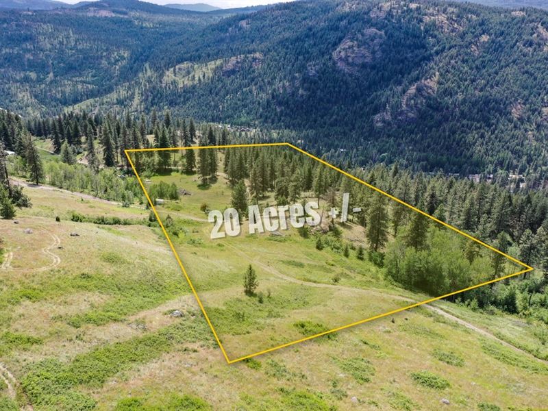 20 Acres, Kettle River Views : Curlew : Ferry County : Washington