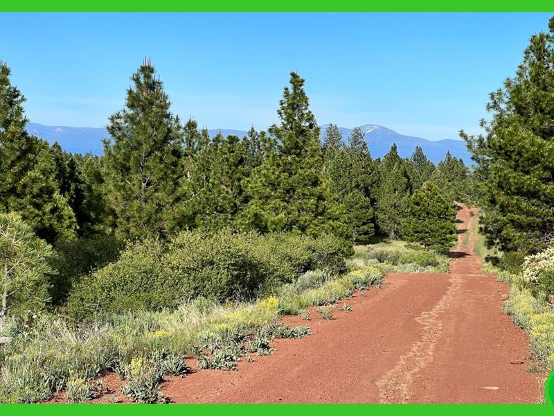 2 Vacant Properties in Modoc County : Alturas : Modoc County : California