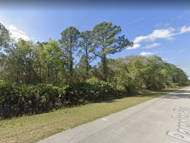 2 Lots for Sale in Georgetown, FL : Georgetown : Putnam County : Florida