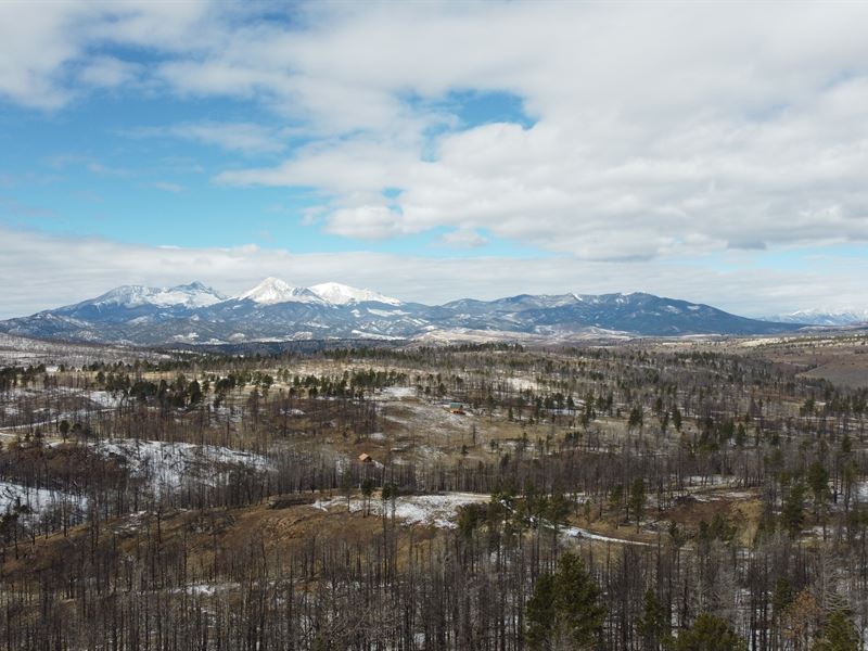 Your Dream Cabin Awaits Budget-Wise : Fort Garland : Costilla County : Colorado