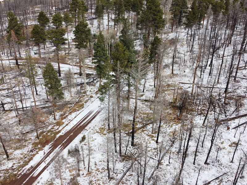 Your Rustic Dream Cabin in Colorado : Fort Garland : Costilla County : Colorado