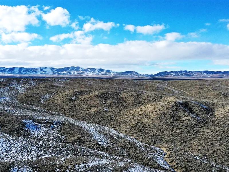 No Restrictions This Summer in NV : Montello : Elko County : Nevada
