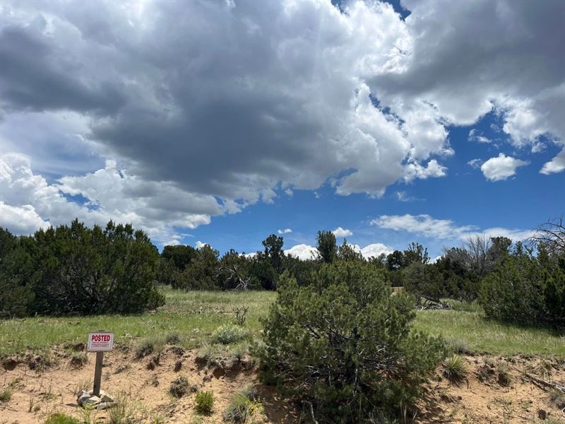 LA Deora Blvd, Walsenburg, Co 8 : Walsenburg : Huerfano County : Colorado