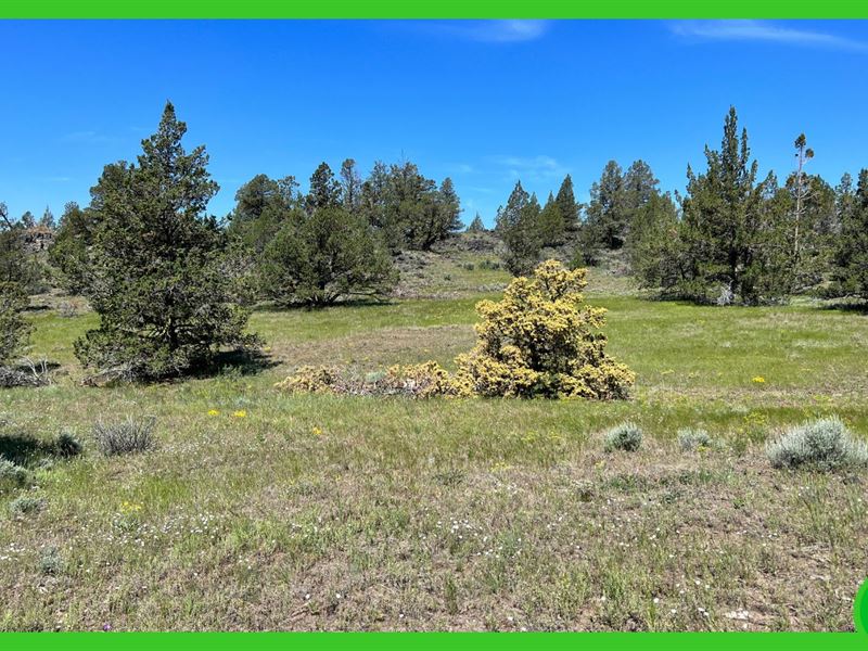 1.54 Acres in Modoc County, CA : Alturas : Modoc County : California