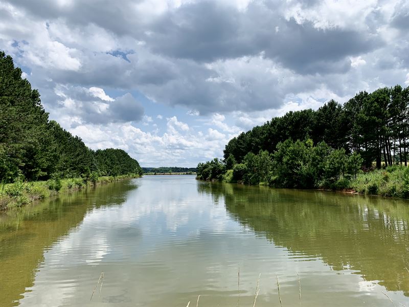 Pasture Tract on Fully Stocked Lake : Griffin : Spalding County : Georgia