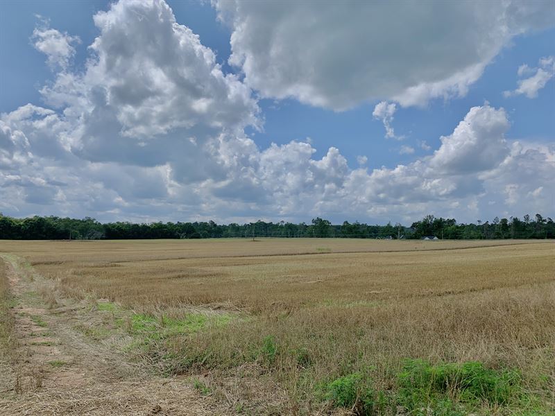 Beautiful Mini Farm on Lake : Griffin : Spalding County : Georgia